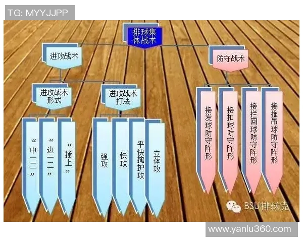 广州排球队选拔赛点评展现灵活性与战术调整能力的全面分析 广州排球队选拔赛点评展现灵活性与战术调整能力的全面分析