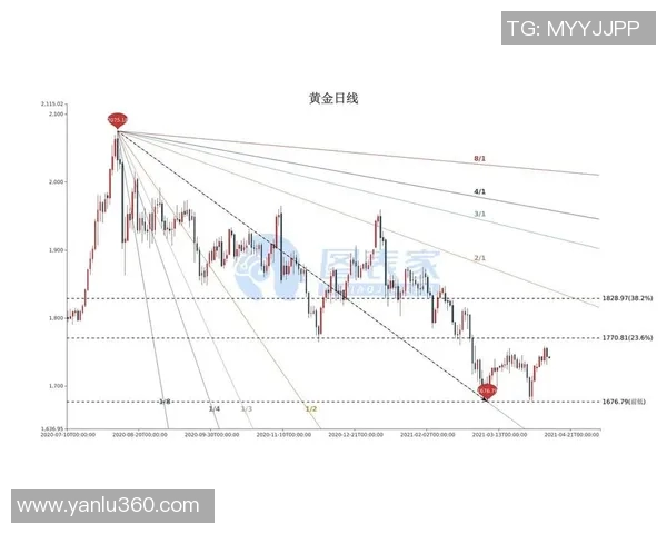 深度分析西安排球队的阵地战战术与执行策略解析 深度分析西安排球队的阵地战战术与执行策略解析